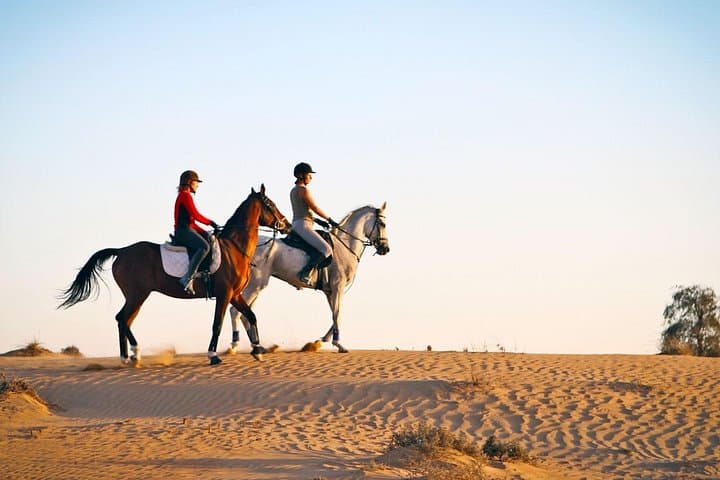 Horseback Through Time: Private Equestrian Tour of Luxor's West Bank photo 2
