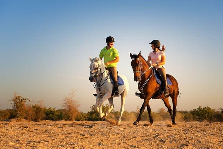 Horseback Through Time: Private Equestrian Tour of Luxor's West Bank photo 6