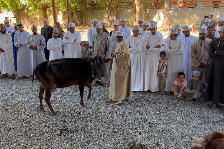 Nizwa Friday Cattle Market and Jebel Akhdar Full-Day Tour: Market Life to Green Mountain Views photo 1