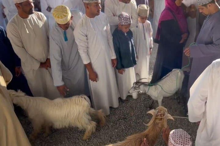Nizwa Friday Cattle Market and Jebel Akhdar Full-Day Tour: Market Life to Green Mountain Views photo 3