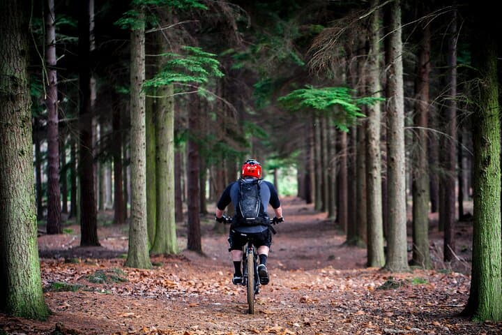 Simcoe County E-Bike Rentals: GPS-Guided 5/10/15 km Trail Loops photo 5