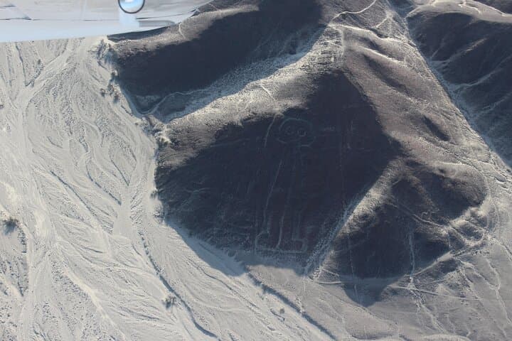 Nazca Lines Overflight: Best Aerial Flight to See the Hummingbird, Spider & Monkey photo 3