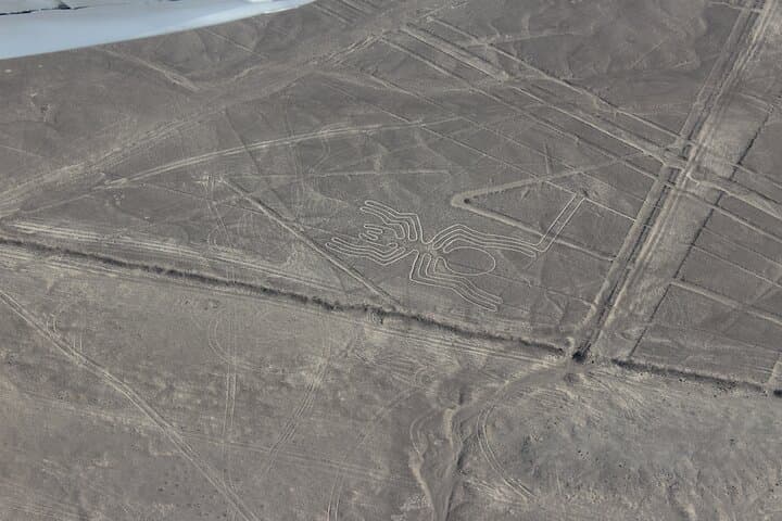 Nazca Lines Overflight: Best Aerial Flight to See the Hummingbird, Spider & Monkey photo 4