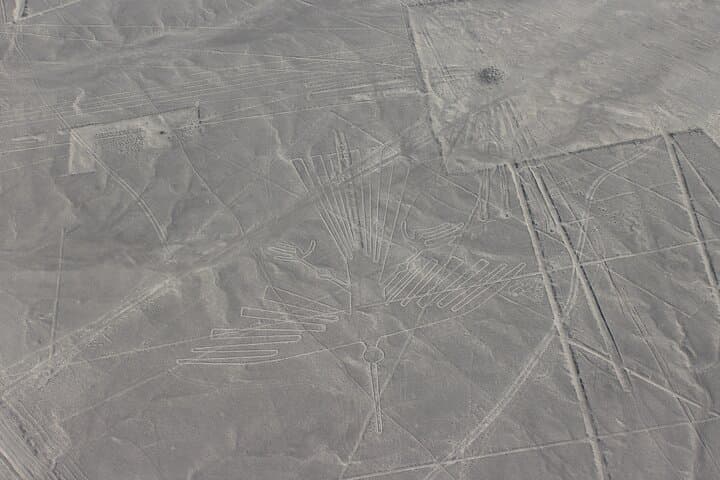 Nazca Lines Overflight: Best Aerial Flight to See the Hummingbird, Spider & Monkey photo 5