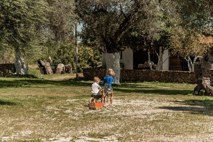 Chania Jeep Safari: Wine & Olive Oil Tasting from Terra Creta to the Ancient Olive of Vouves photo 4