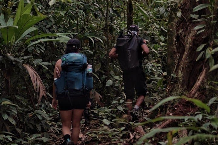 Full-Day Corcovado Hike from Drake Bay — 18–20 km Jungle Adventure photo 4