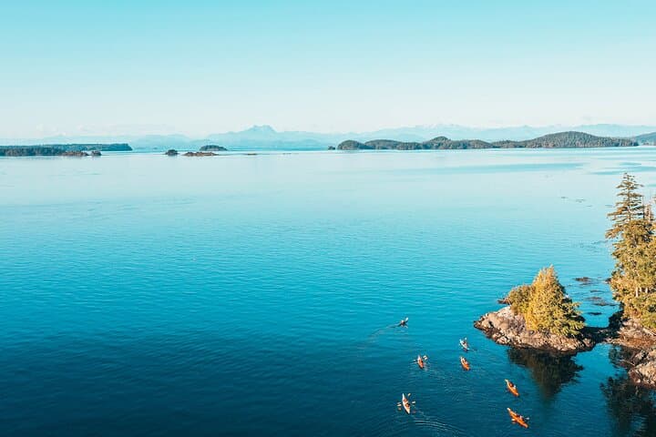 Johnstone Strait Full-Day Kayak Tour from Telegraph Cove — Orcas & Coastal Wildlife photo 4