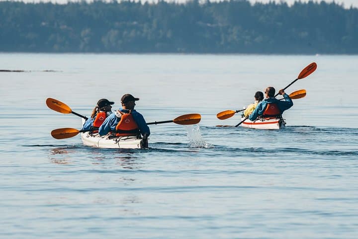 Johnstone Strait Full-Day Kayak Tour from Telegraph Cove — Orcas & Coastal Wildlife photo 6