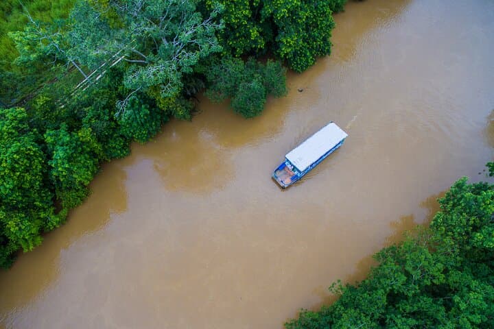 Caño Negro Boat Tour from La Fortuna — Wetlands Birdwatching & Local Lunch