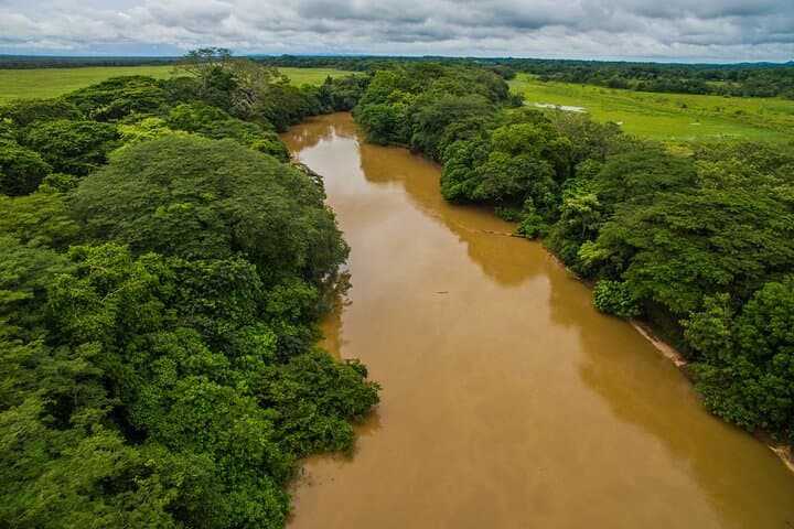 Caño Negro Boat Tour from La Fortuna — Wetlands Birdwatching & Local Lunch photo 4