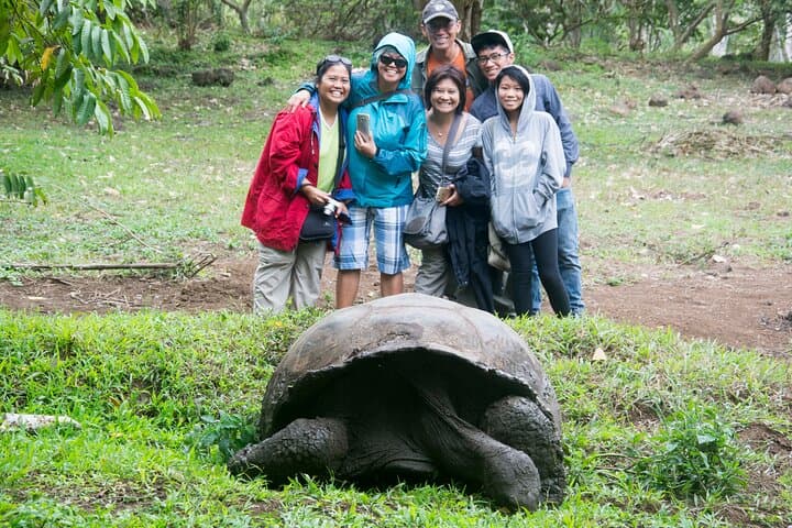 7-Day Galapagos Santa Cruz & Isabela Islands with Quito Highlights photo 2