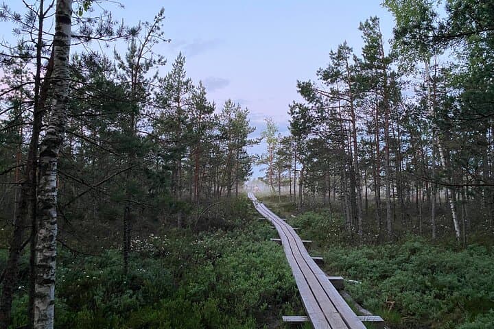 Kemeri Bog Boardwalk and Jūrmala Seaside Day Trip from Riga photo 3