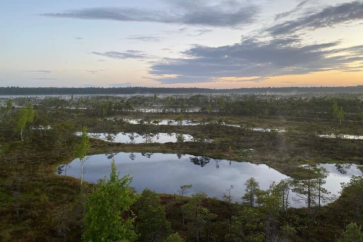 Kemeri Bog Boardwalk and Jūrmala Seaside Day Trip from Riga photo 5