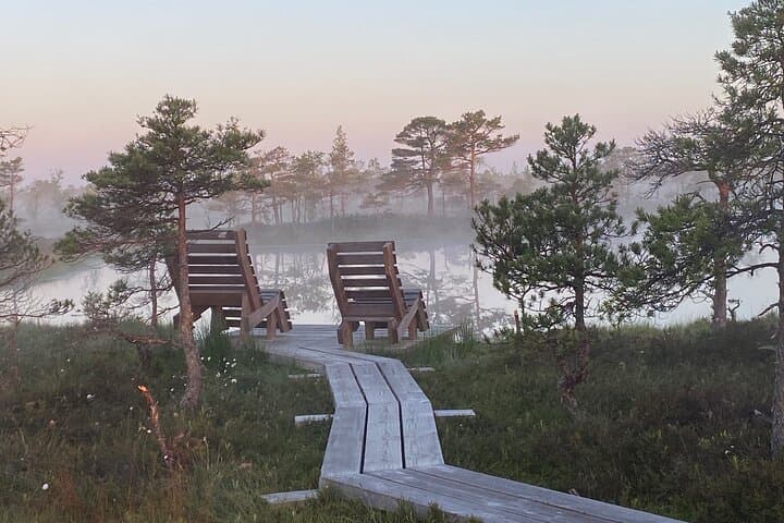 Kemeri Bog Boardwalk and Jūrmala Seaside Day Trip from Riga photo 6