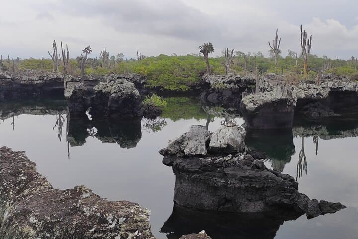 7-Day Galapagos Santa Cruz & Isabela Islands with Quito Highlights photo 6