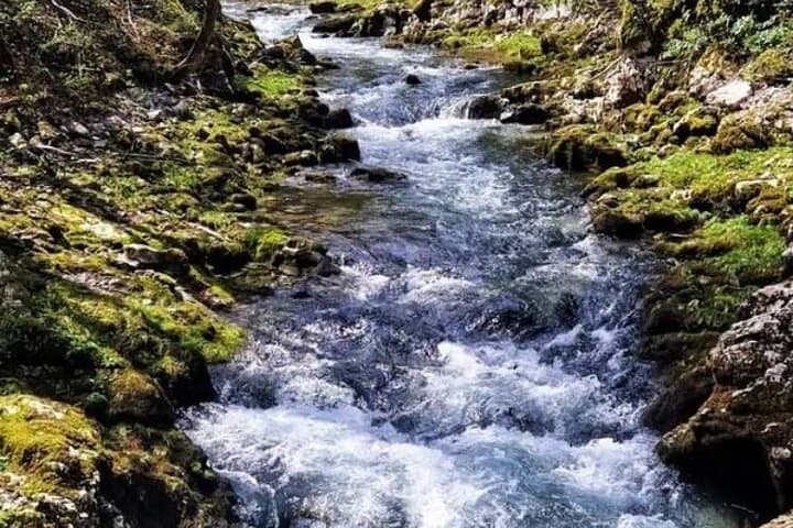 Kamačnik Canyon: Full-Day Private Guided Hike from Pula photo 5