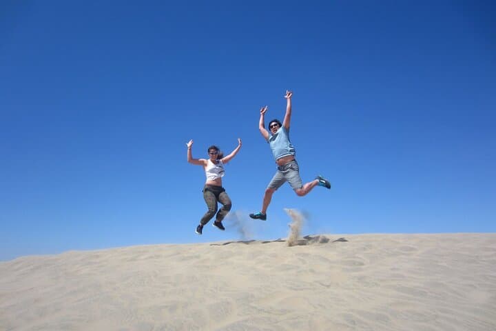 Ballestas Islands, Huacachina Dune-Buggy & Vineyard Day Trip from Lima photo 4
