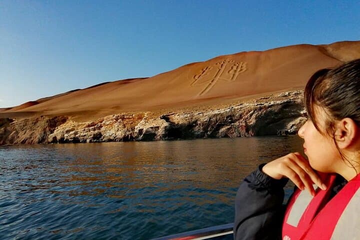 Ballestas Islands, Huacachina Dune-Buggy & Vineyard Day Trip from Lima photo 6