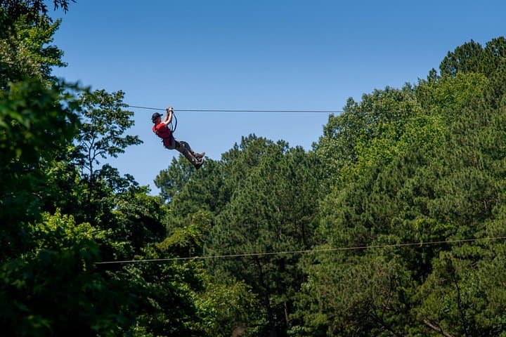 Virginia Beach Tree-Top Adventure: Ziplining and Climbing at The Adventure Park