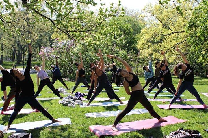 Morning Yoga at Sheep Meadow — Central Park Class with a View photo 5