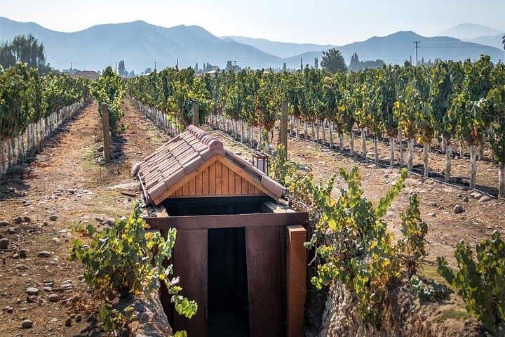 Visit Undurraga Winery from Santiago: Sustainable Maipo Valley Wine Tour photo 3