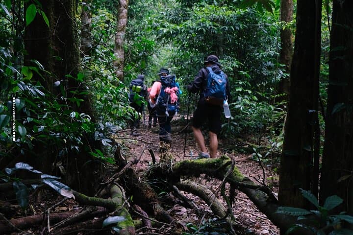 Aural Mountain Trek: 3-Day Phnom Aural Challenge in Cambodia's Cardamoms photo 4