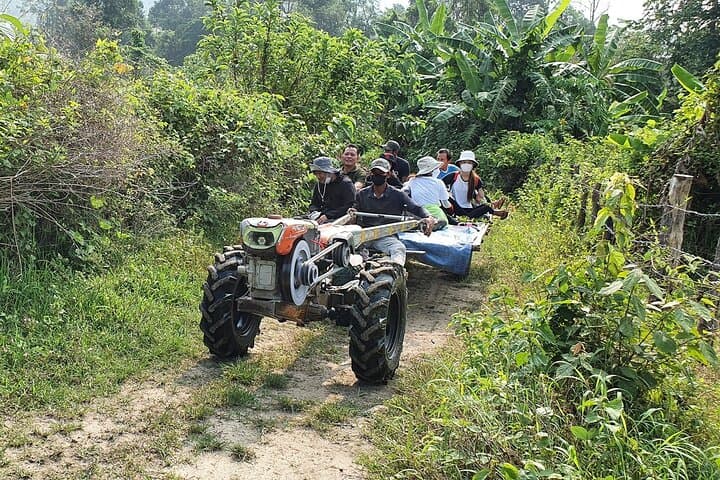 Aural Mountain Trek: 3-Day Phnom Aural Challenge in Cambodia's Cardamoms photo 6