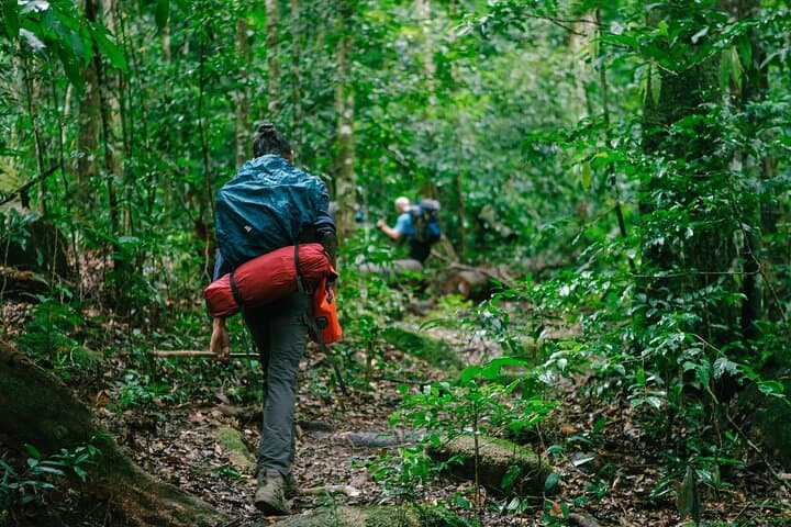 Aural Mountain Trek: 3-Day Phnom Aural Challenge in Cambodia's Cardamoms photo 2