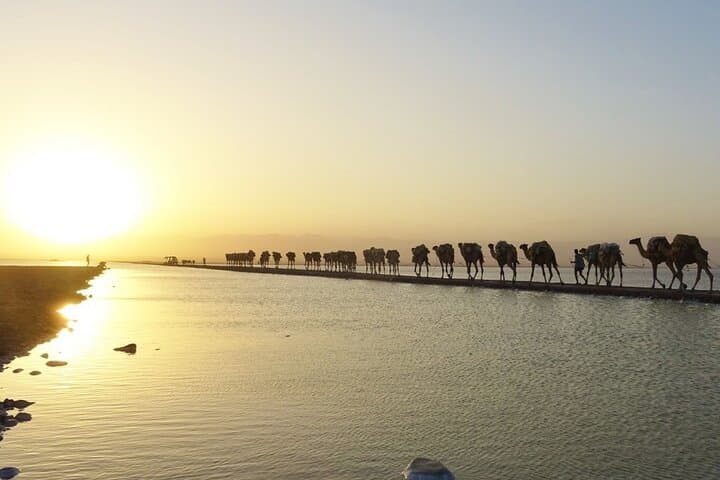 3-Day Danakil Depression Tour — Erta Ale, Dallol & Lake Afrera Adventure photo 3