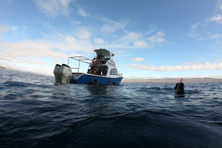 San Cristobal 360: Snorkel Kicker Rock, Turtles & Hammerheads in One Day photo 2