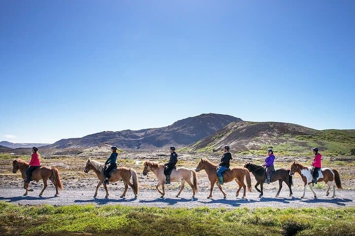 Icelandic Horse Comfort Ride — Lava Fields & Bláfjöll Views from Reykjavík photo 2