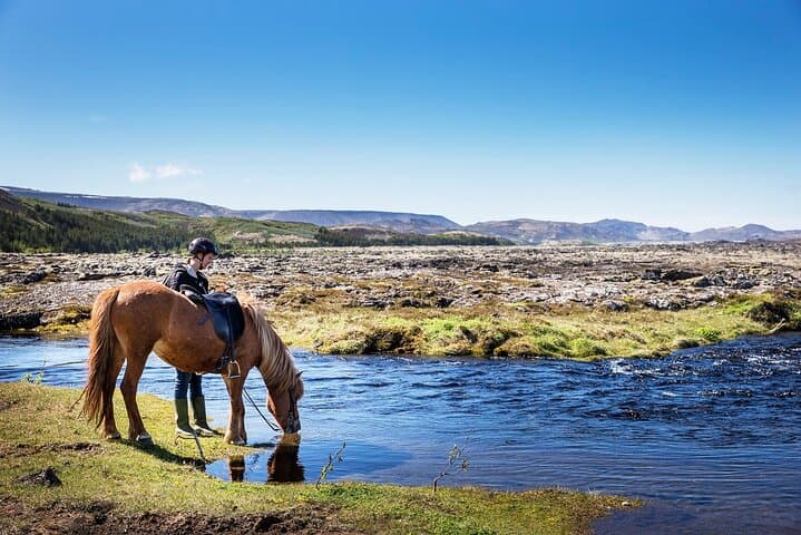 Icelandic Horse Comfort Ride — Lava Fields & Bláfjöll Views from Reykjavík photo 4