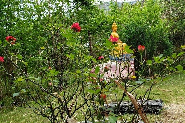 Osho Upaban Day Tour from Pokhara: Forest Meditation & Cultural Walk photo 2