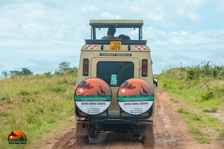 3-Day Bwindi Gorilla Safari: Trek Mountain Gorillas in Uganda photo 6