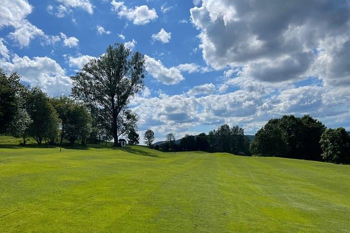 Golf at Golfschaukel Stegersbach: Private Round with Local Hosts in Southern Burgenland photo 3