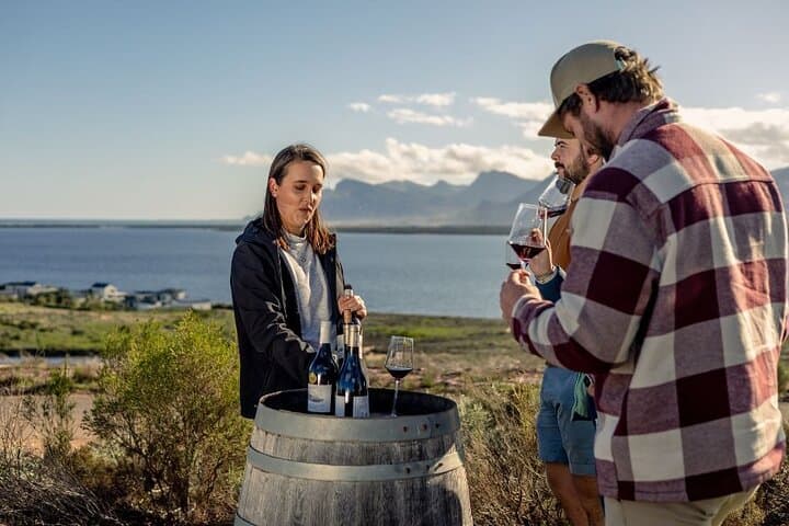 Benguela Cove Vineyard Safari: Ocean-Facing Vines & Guided Wine Tasting in Hermanus photo 6