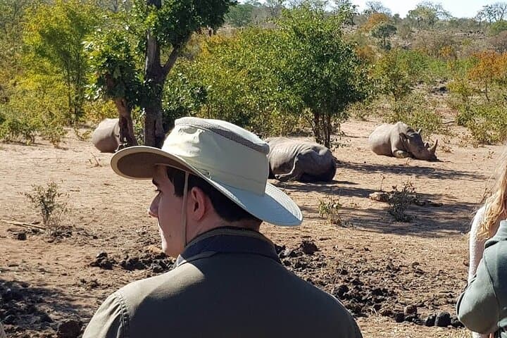 Mosi-Oa-Tunya Game Drive: Wildlife and Victoria Falls Views in Three Hours photo 1