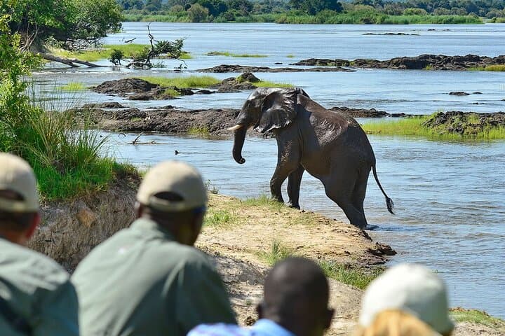 Mosi-Oa-Tunya Game Drive: Wildlife and Victoria Falls Views in Three Hours photo 3