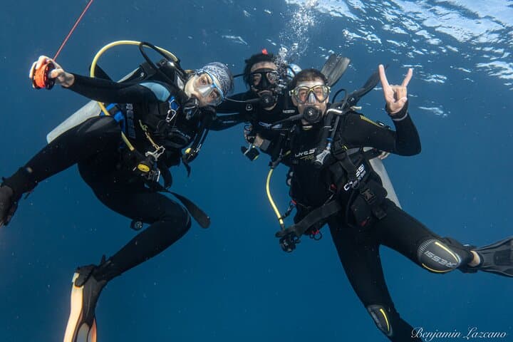 Private Beginner Scuba Diving in Cabo San Lucas — 1:1 Reef Intro photo 6