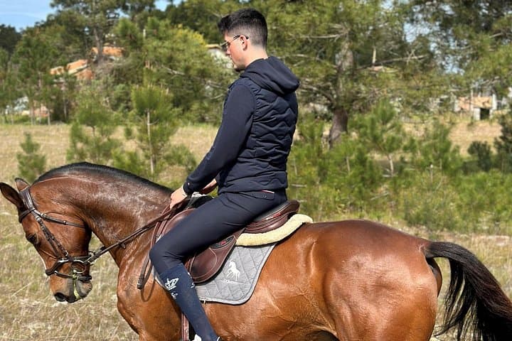 Horse Riding near Aveiro: 6 km Guided Countryside Ride in Ílhavo photo 1