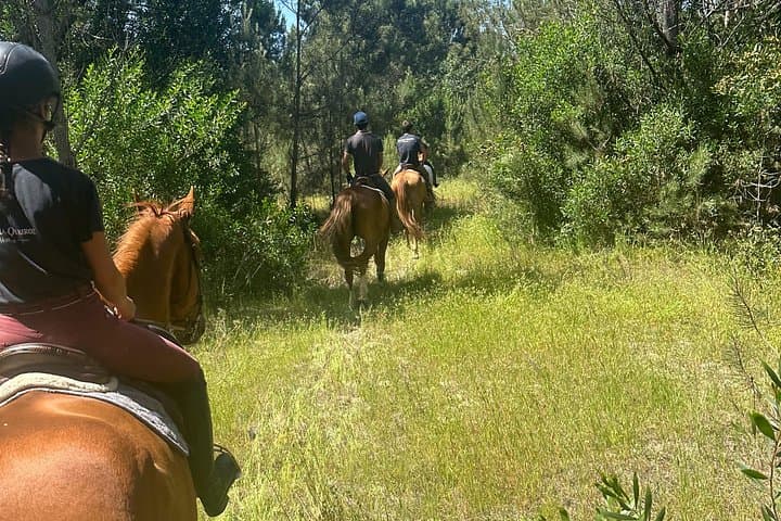 Horse Riding near Aveiro: 6 km Guided Countryside Ride in Ílhavo photo 2