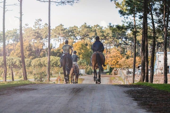 Horse Riding near Aveiro: 6 km Guided Countryside Ride in Ílhavo photo 4