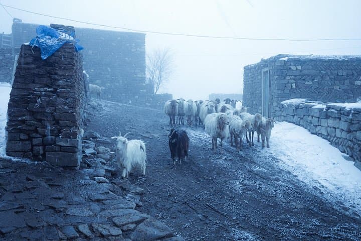 Three-Day Trek to Khinalig & Remote Guba Villages — Hiking the Greater Caucasus Trails photo 2