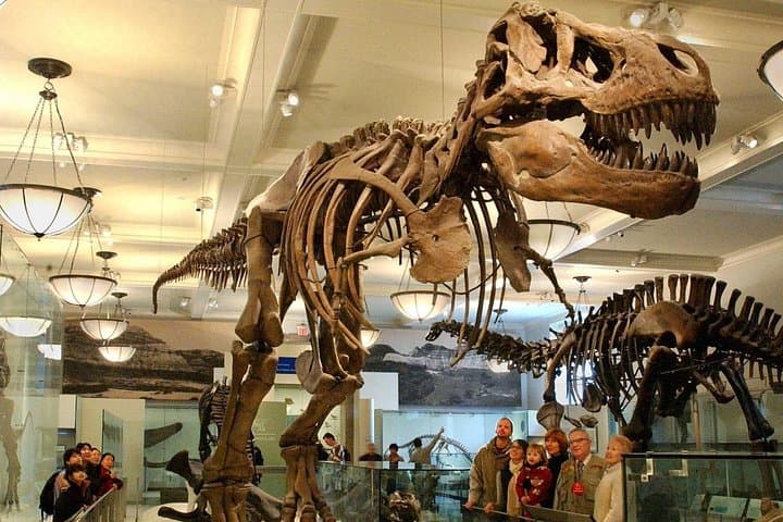 Visit the American Museum of Natural History: Practical Guide to NYC’s Iconic Science Museum photo 2