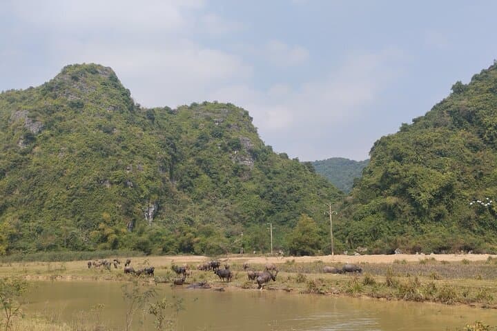 Ninh Binh Day Trip: Thien Ha Grotto, Tuong Mountain Hike & Hoa Lu Ancient Capital photo 6