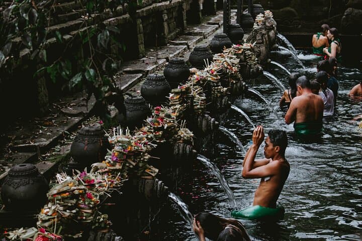 Private Bali Day Tour: Ubud Rice Terraces, Monkey Forest & Tirta Empul (8–10 hr) photo 4