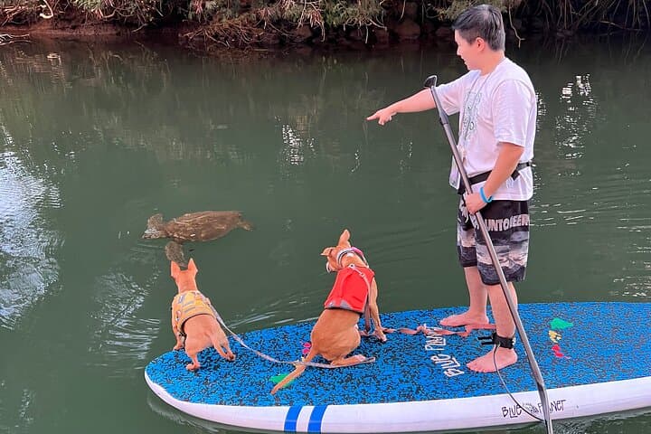 Paddle Board Haleiwa North Shore with Rescue Dogs — SUP Experience in Hale'iwa photo 6