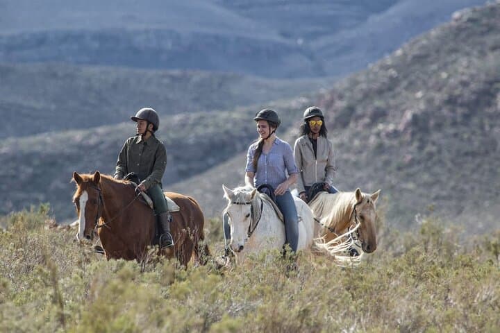 Aquila Big 5 Safari — Full-Day Private Game Drive From Cape Town photo 5