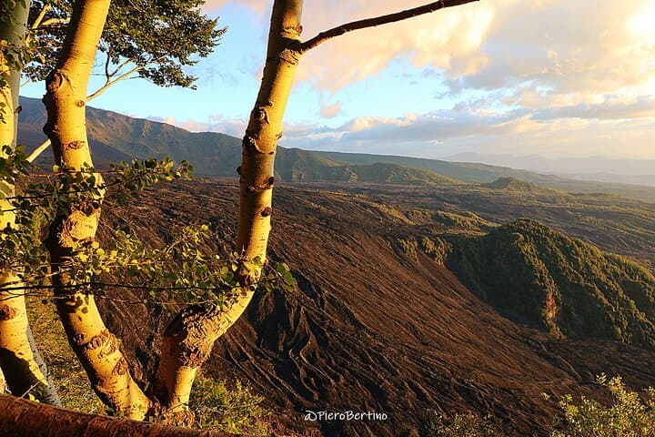 Etna Sunset Tour: Lava Fields, Craters & Cave Tasting from Catania photo 3