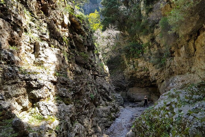 Imbros Gorge Hike and Sfakia Private Day Trip from Heraklion photo 2